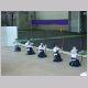 DSC01536.html
